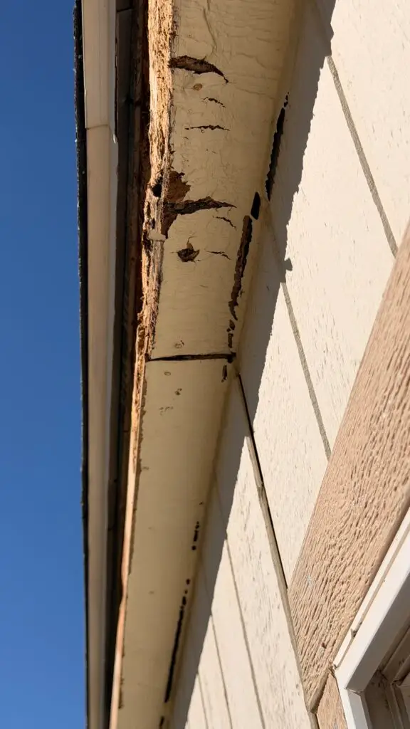 Exterior House Painting and Dry Rot Repair in Acton — complete home painting