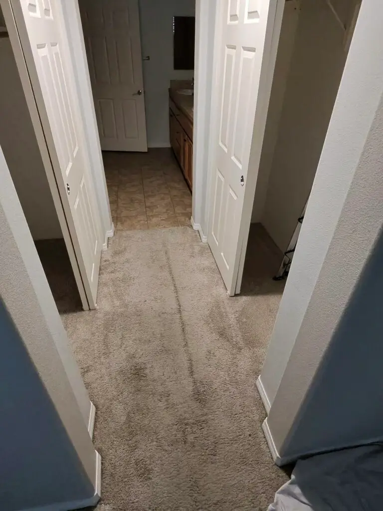 SPC Vinyl Flooring Installation in Camarillo — camarillo handyman